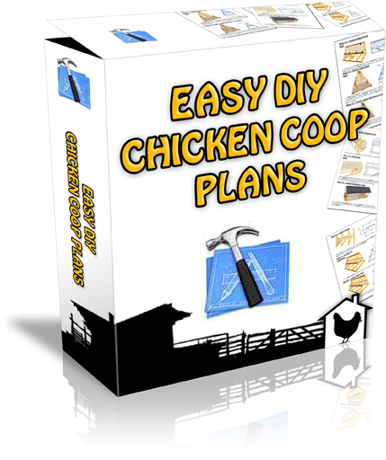 Chicken Coop Plans | Pet Chicken Guide | Blog | Support