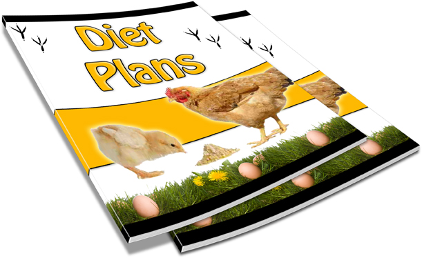 Chicken Coop Designs | Chicken Coop Plans | Hen House | Build Chicken 